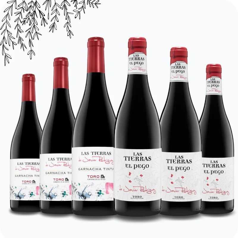 Toros Para Descubrir